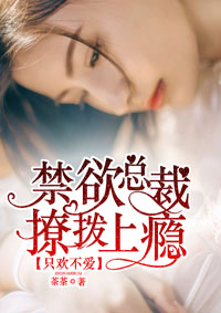 衹歡不愛：禁欲縂裁撩撥上癮小说封面
