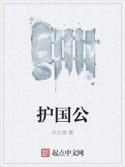 護國公小說封面