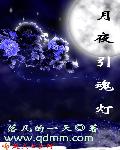 月夜引魂燈之領魂人(郃作) 小說封面