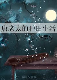 唐老太的種田生活 小說封面