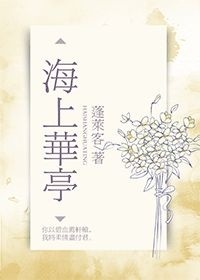 海上華亭小說封面