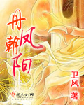 丹鳳朝陽小說封面